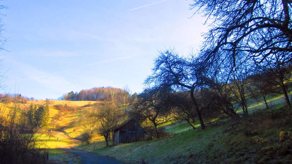 zur_Burg_Waldenstein