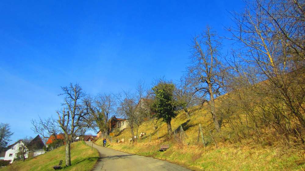 Burg_Waldenstein