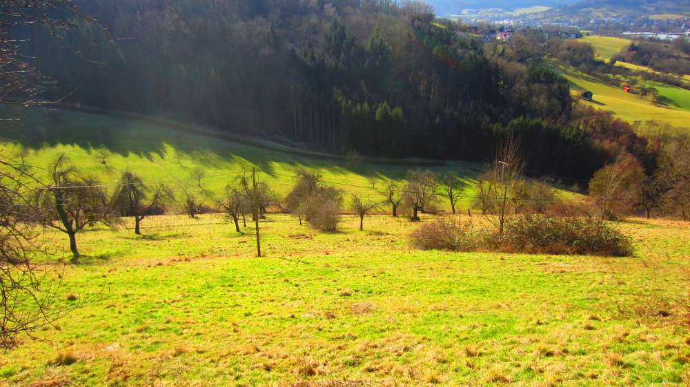 Burg_Waldenstein