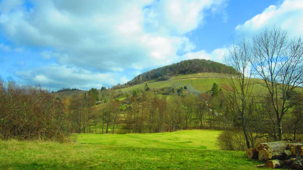 Weinberge