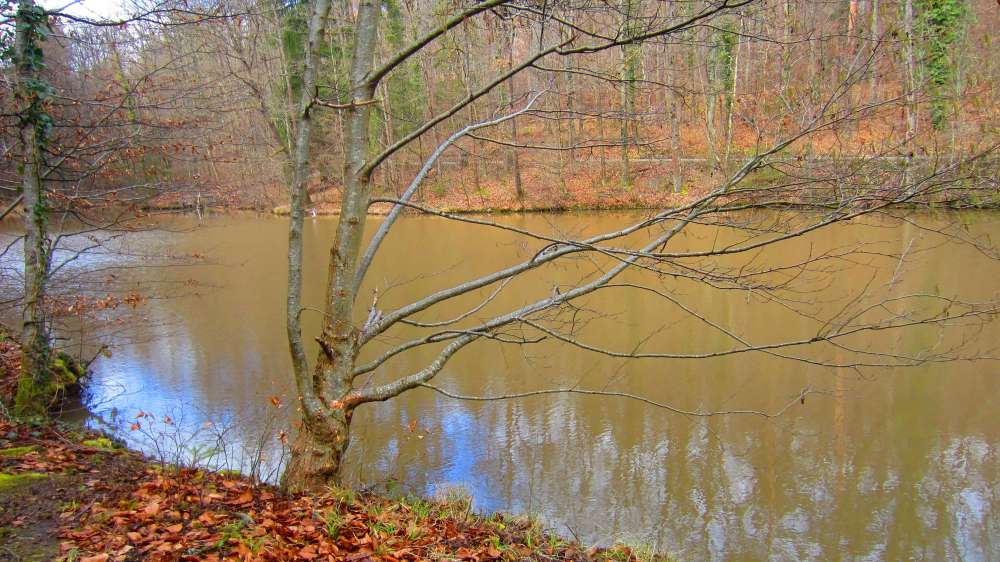Feuersee