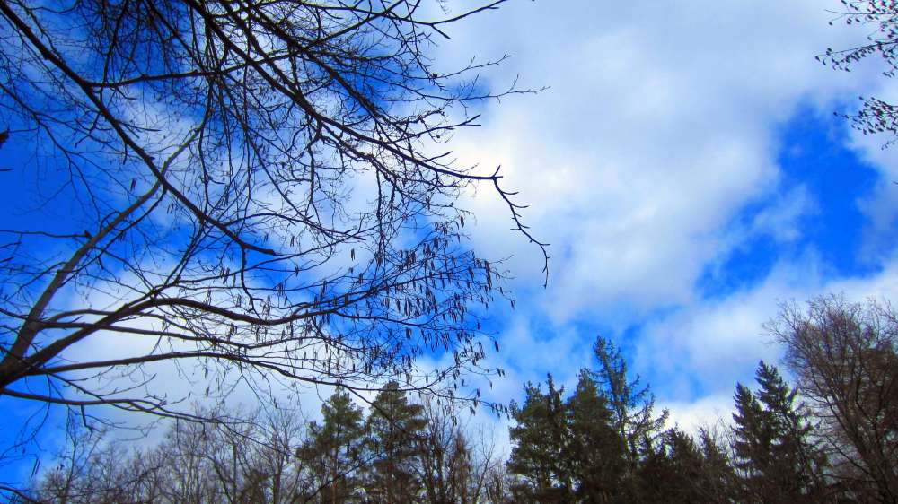 Wolken