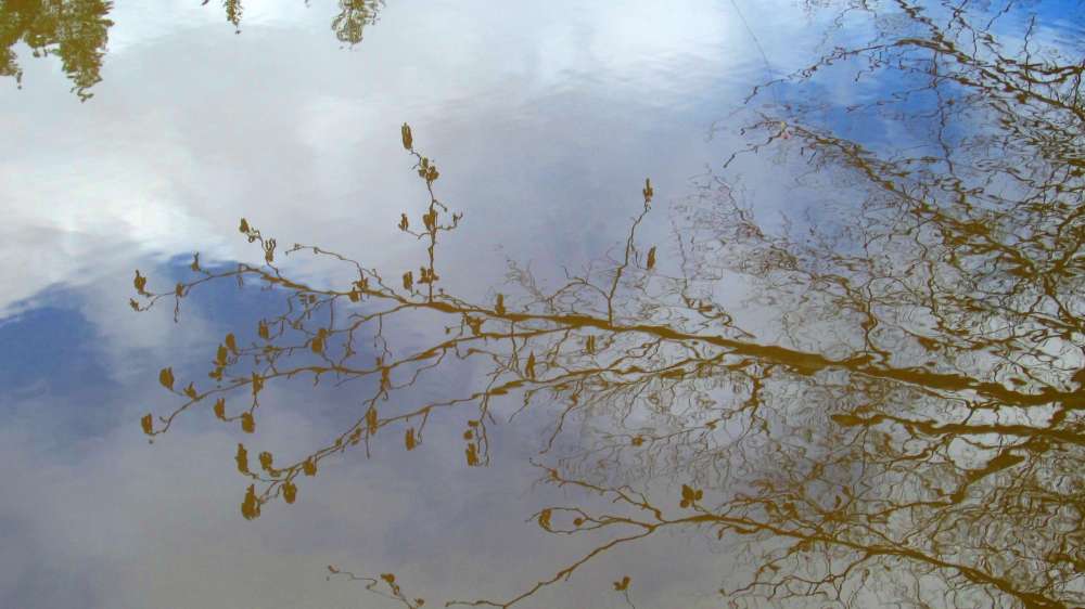Spiegelung