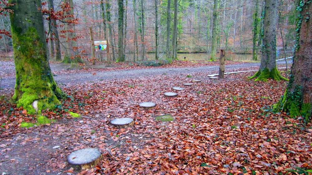 Waldweg