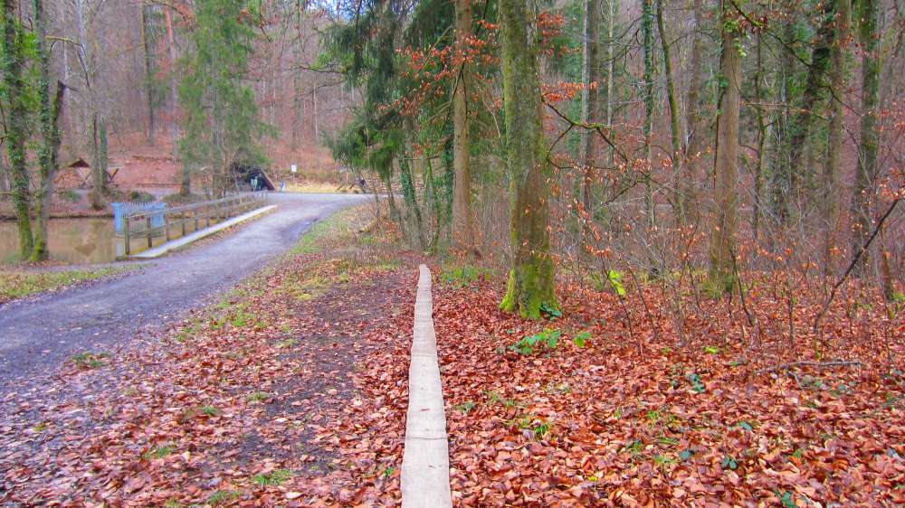 Waldweg