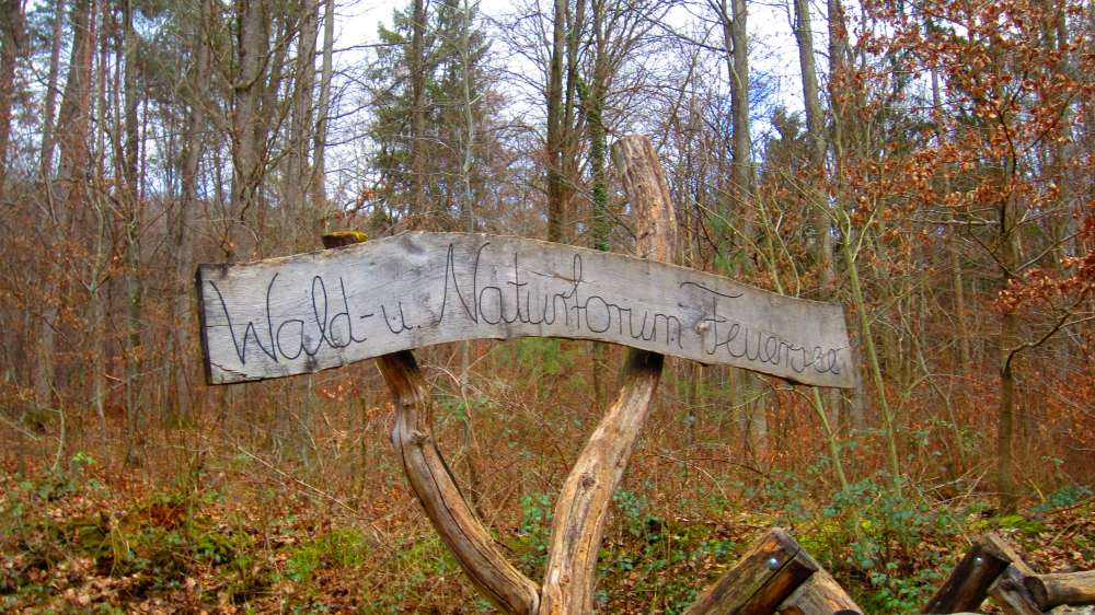 Schild