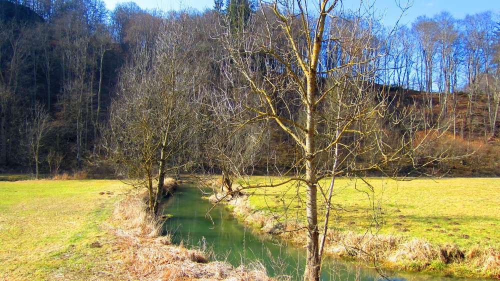 Lauter