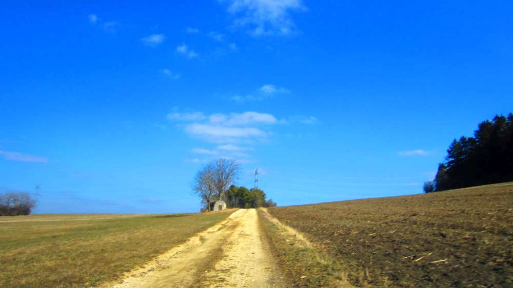 Alb
