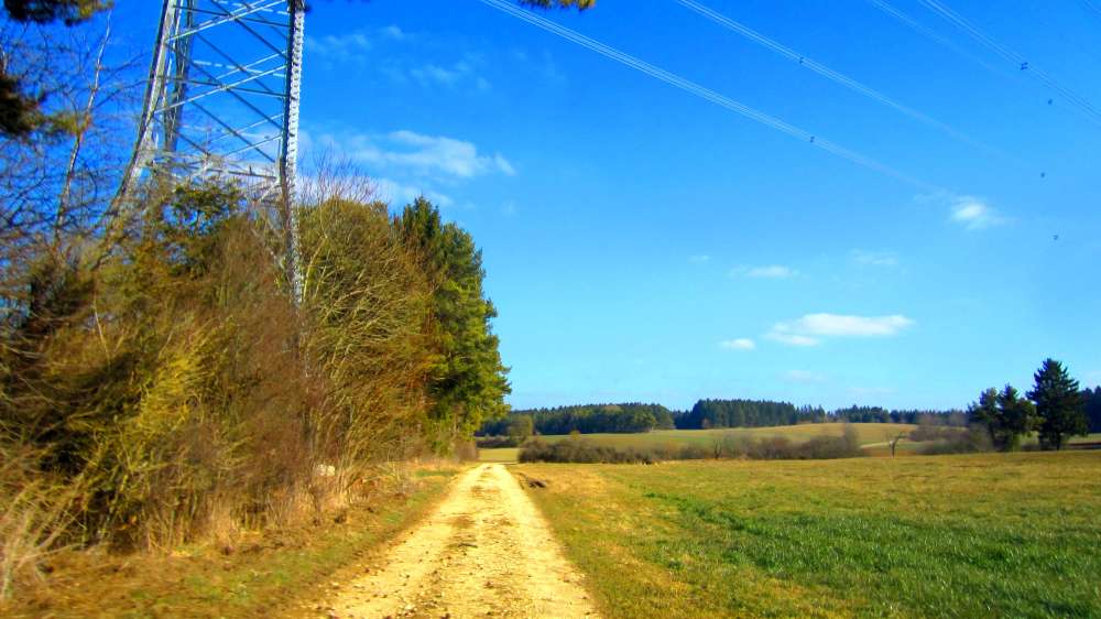 Waldrand