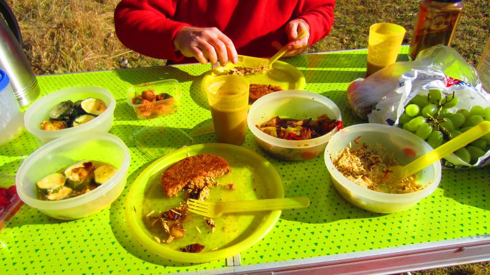 Picknick