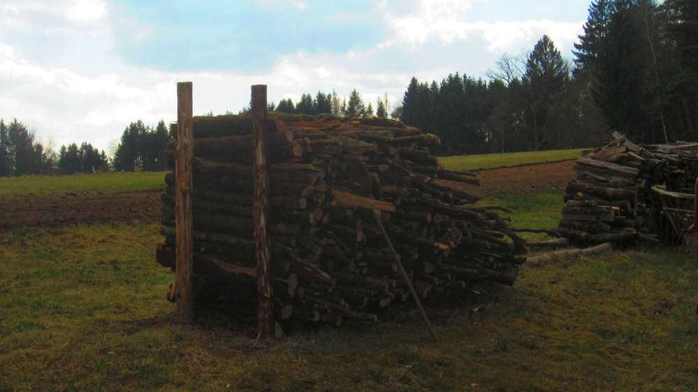 Holz