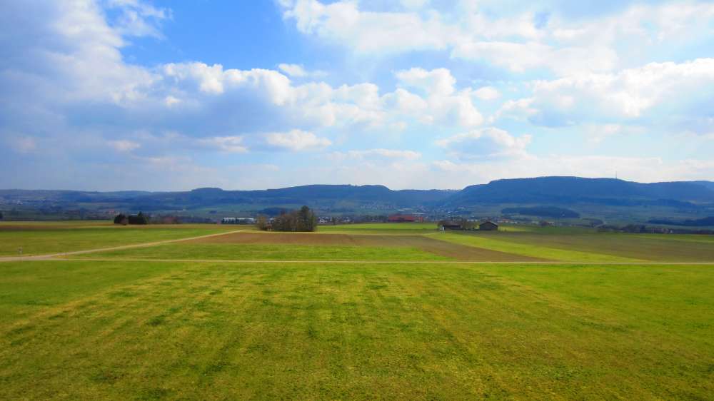 Turm_am_Grubenholz