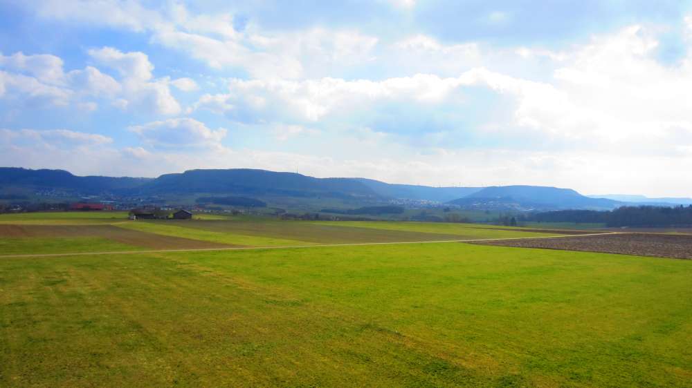 Turm_am_Grubenholz