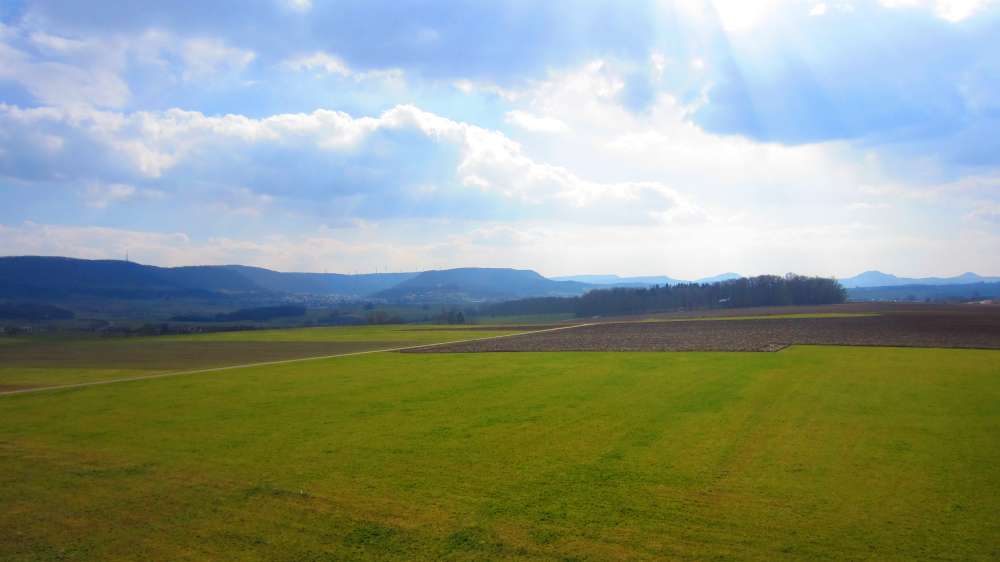 Turm_am_Grubenholz
