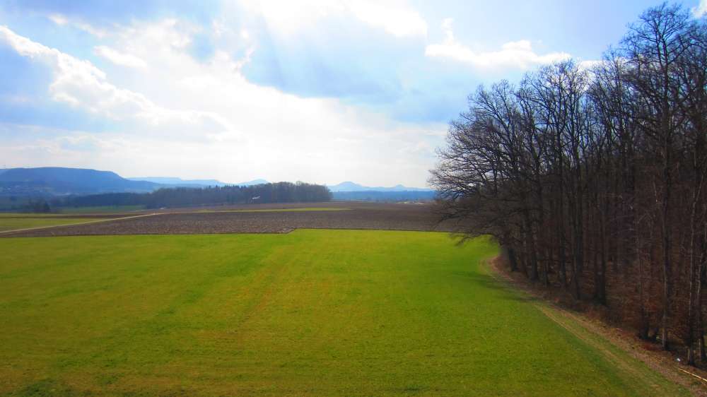 Turm_am_Grubenholz