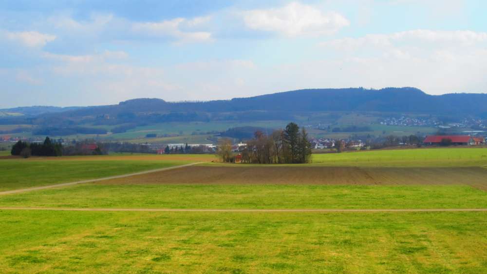 Turm_am_Grubenholz