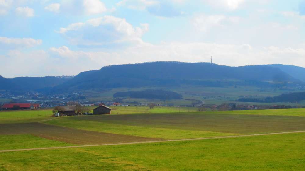 Turm_am_Grubenholz