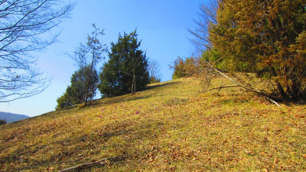 Kuechenschellen