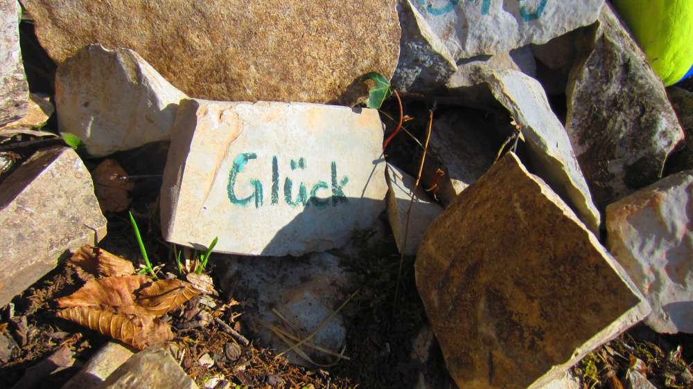 Glueck