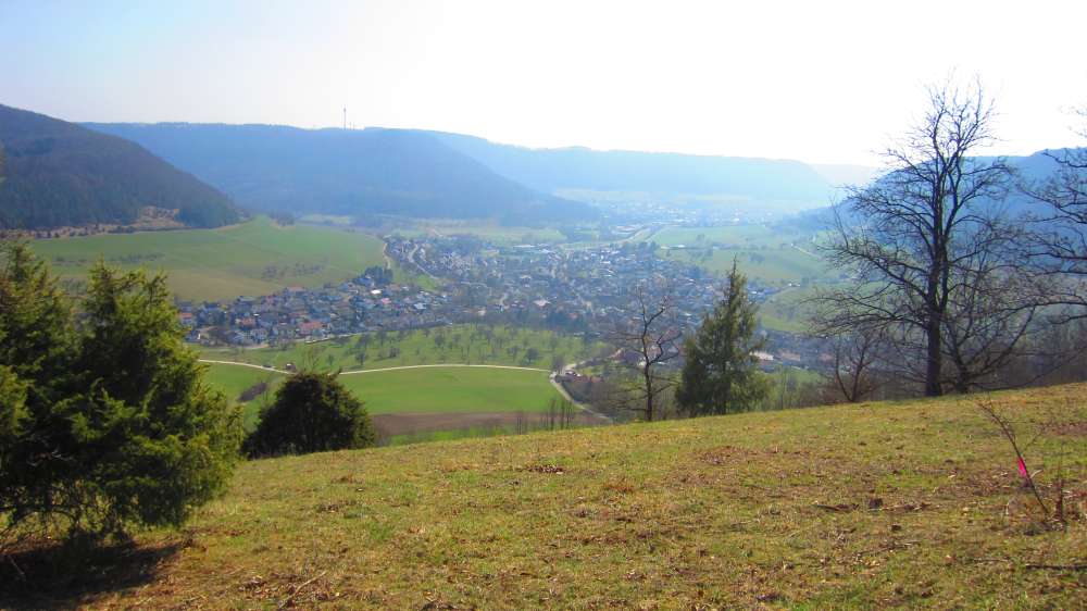 Reichenbach_im_Taele