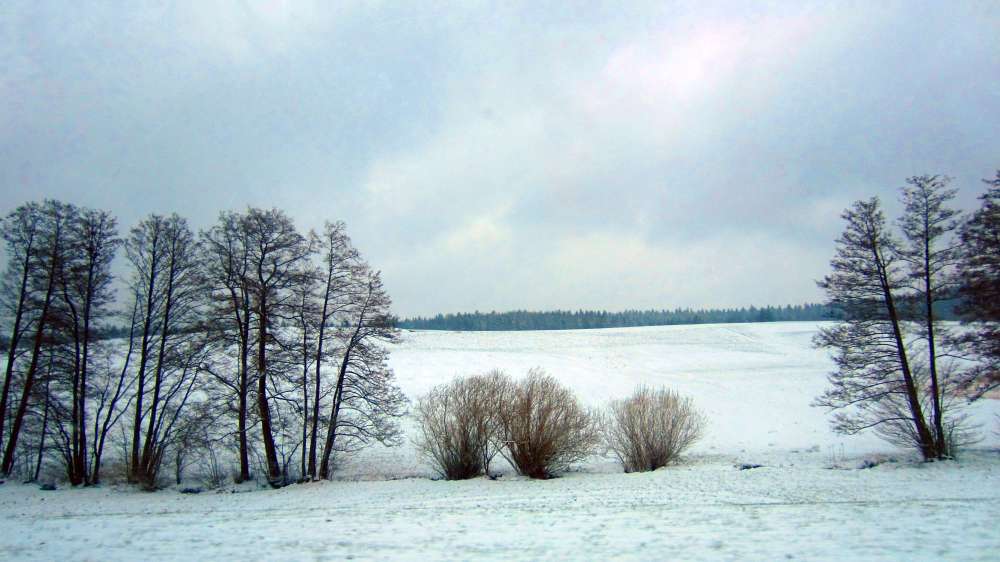 Winter