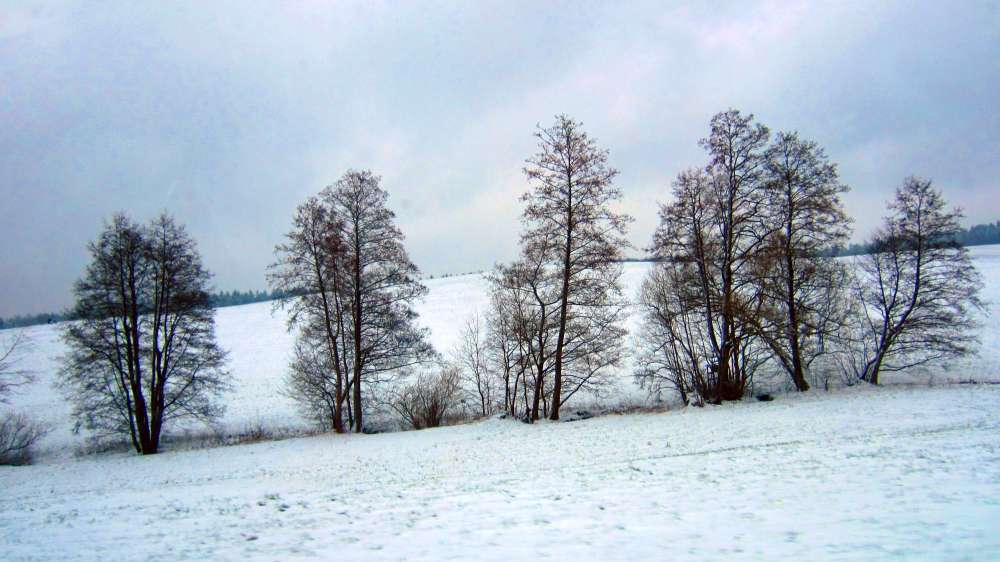 Winter