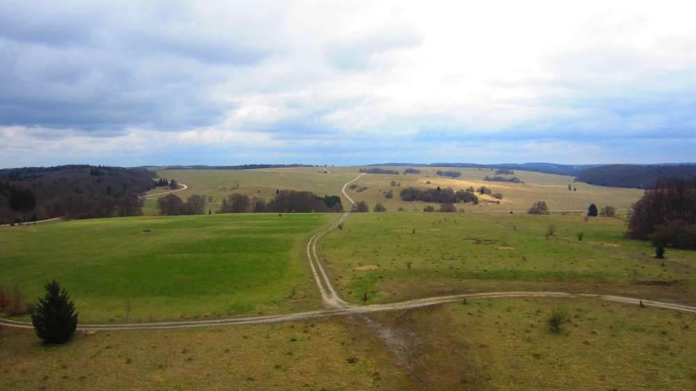 Wacholderheide