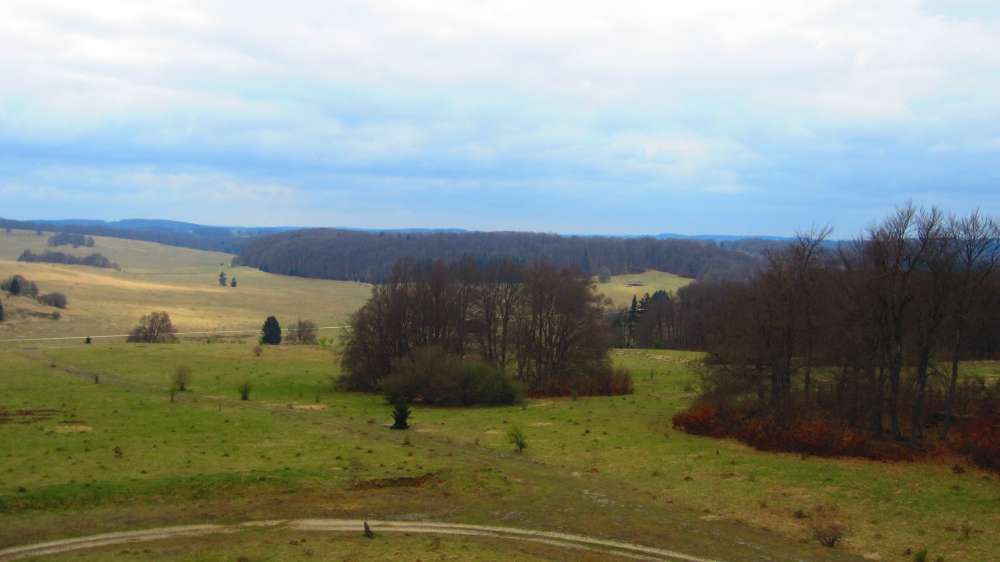 Wacholderheide