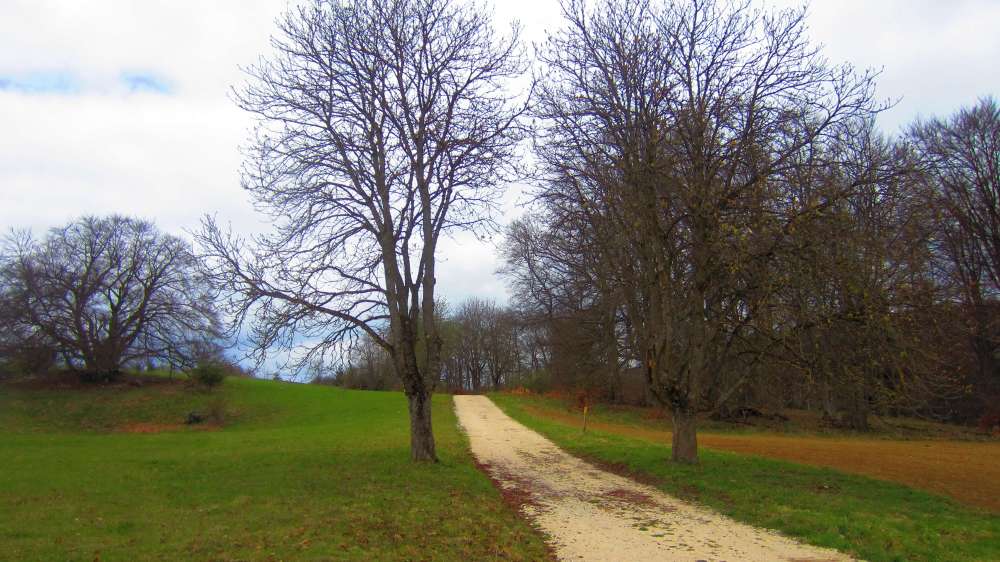 Weg