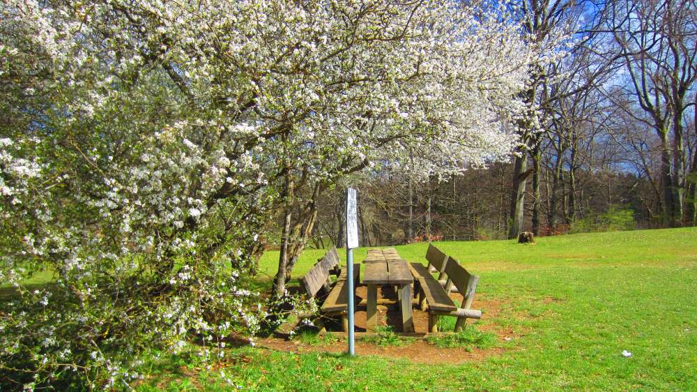 Picknickplatz