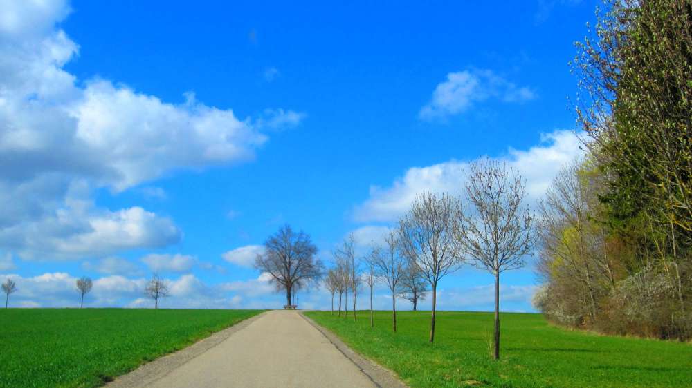 Allee