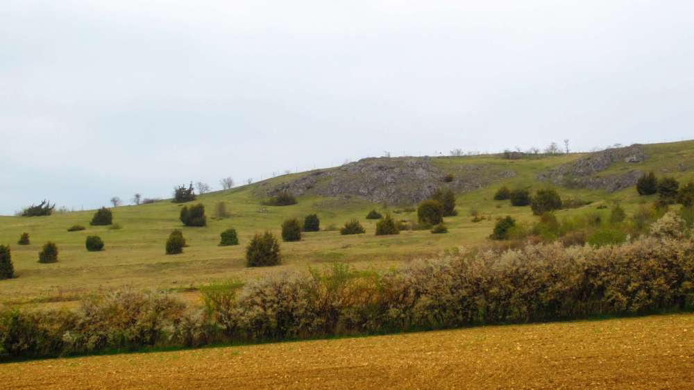 Ofnethoehlen