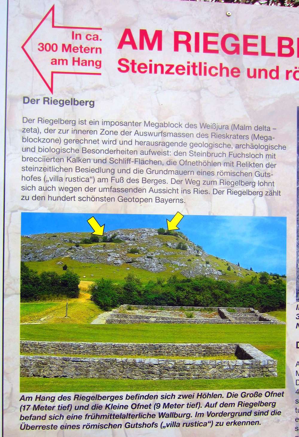 Schild