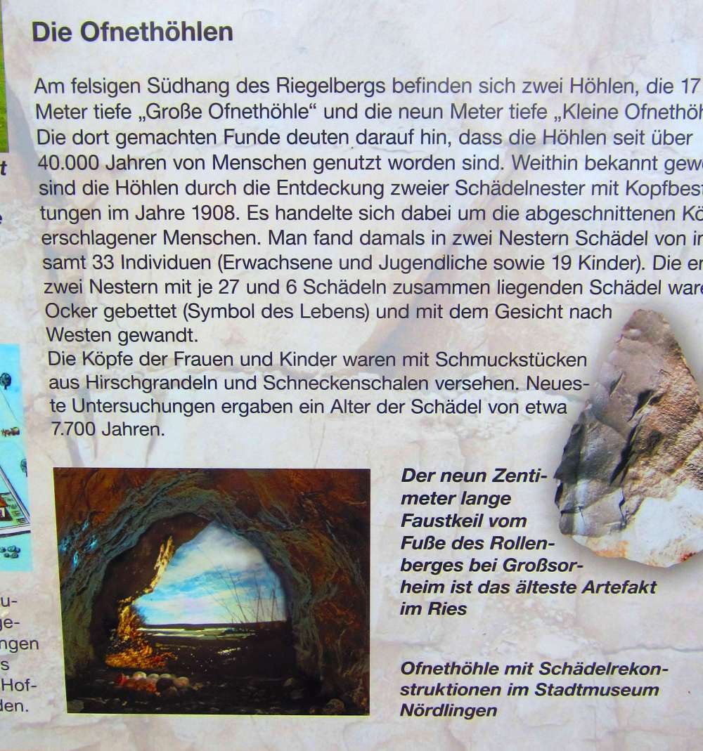 Schild