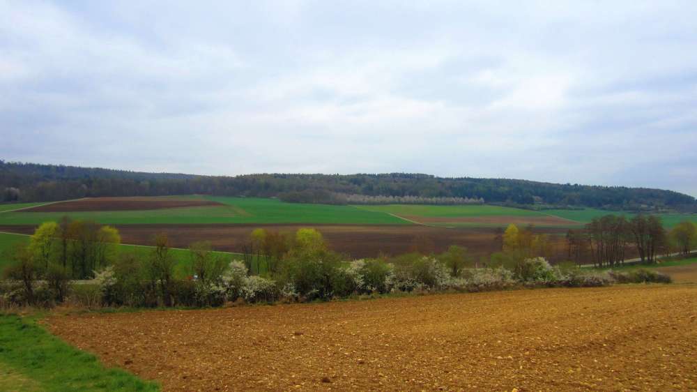Aussicht