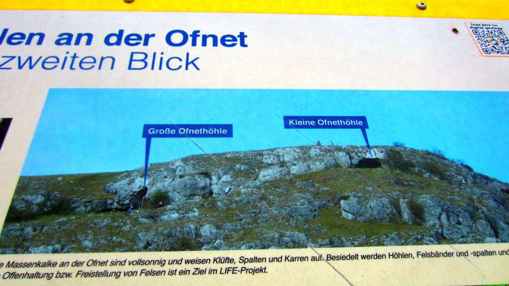 Schild