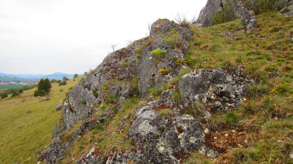 Felsen