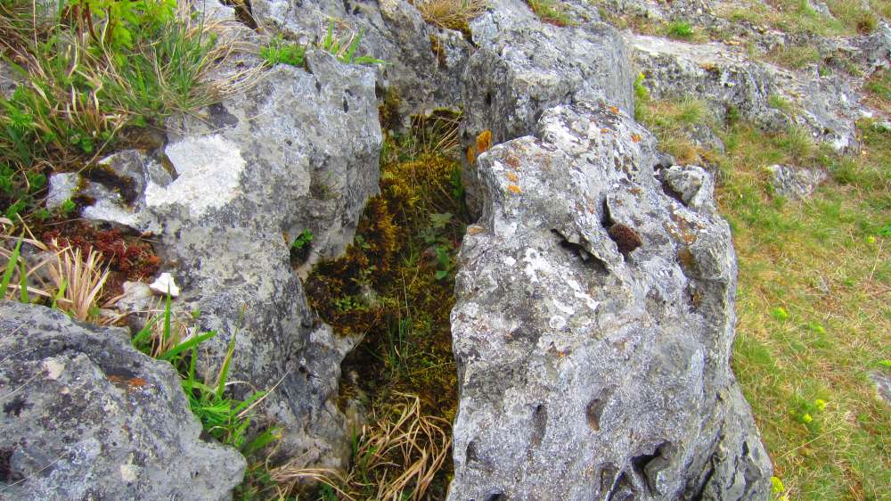 Felsen