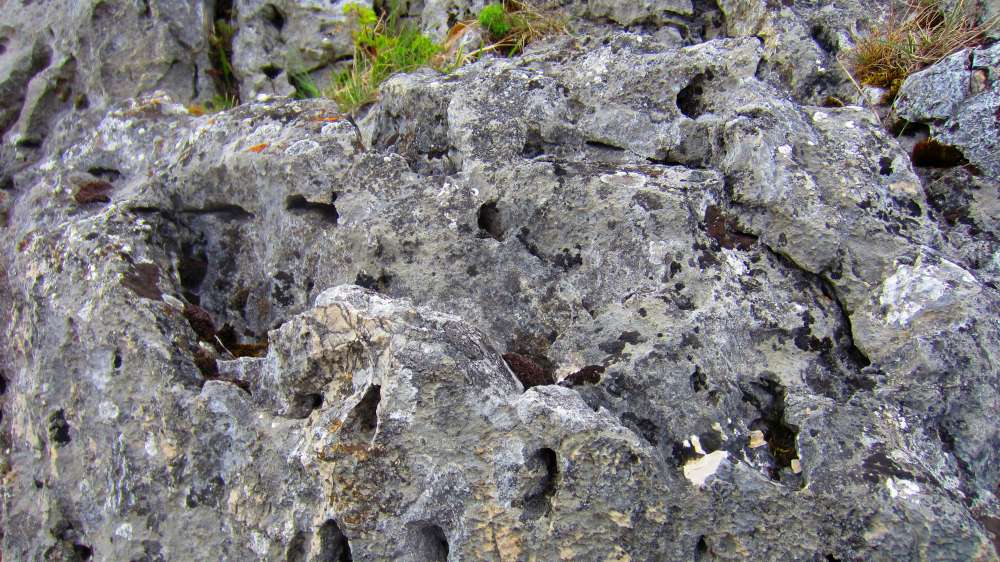 Felsen