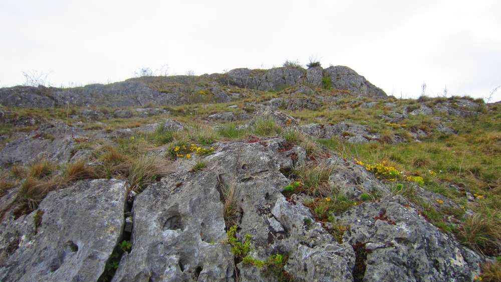 Felsen
