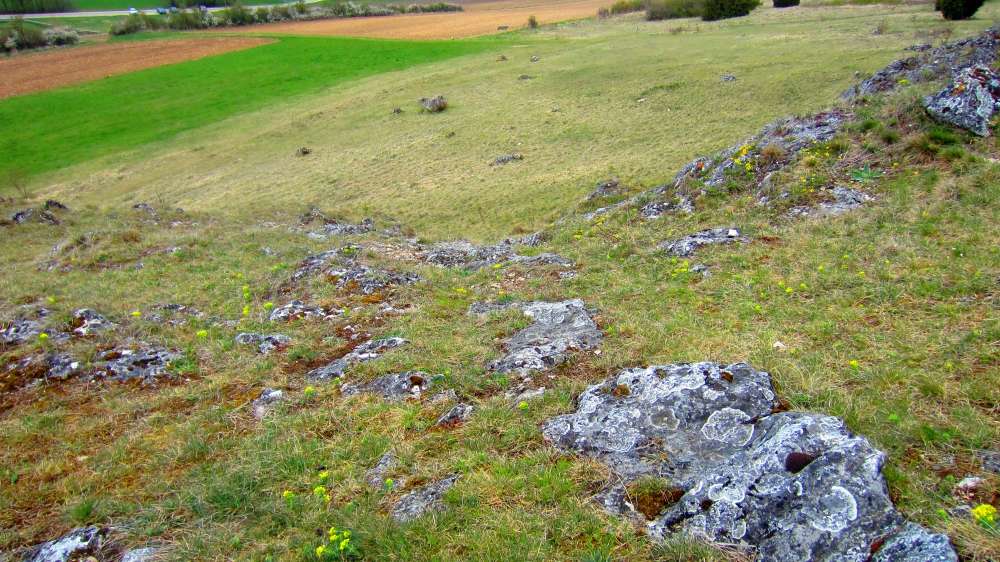 Felsen