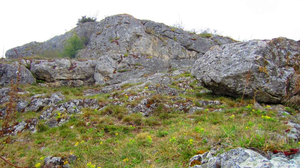 Felsen