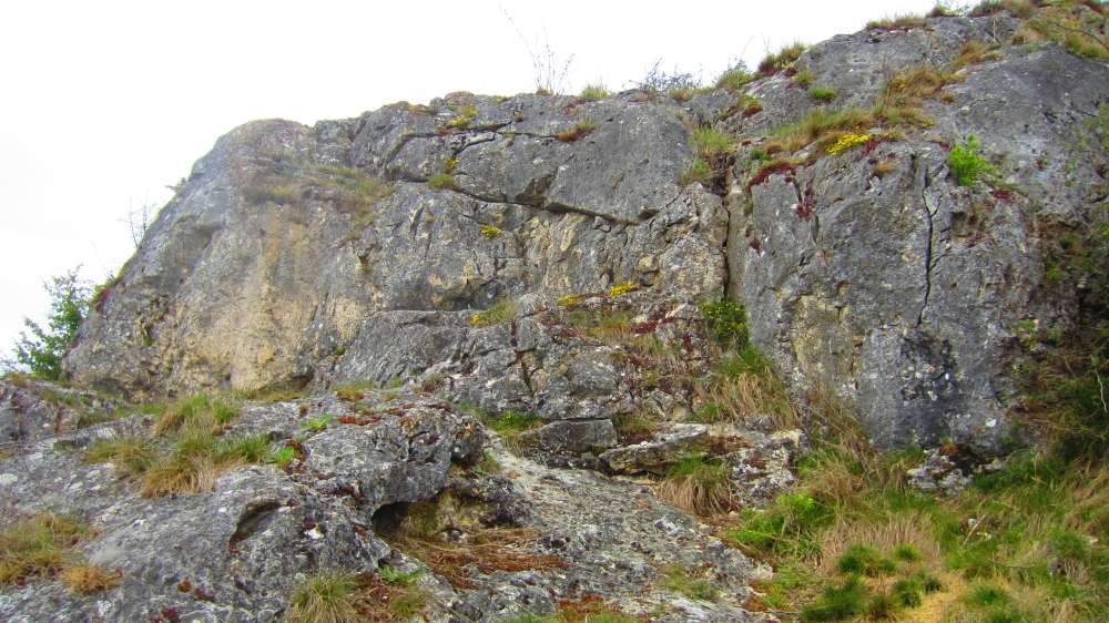 Felsen