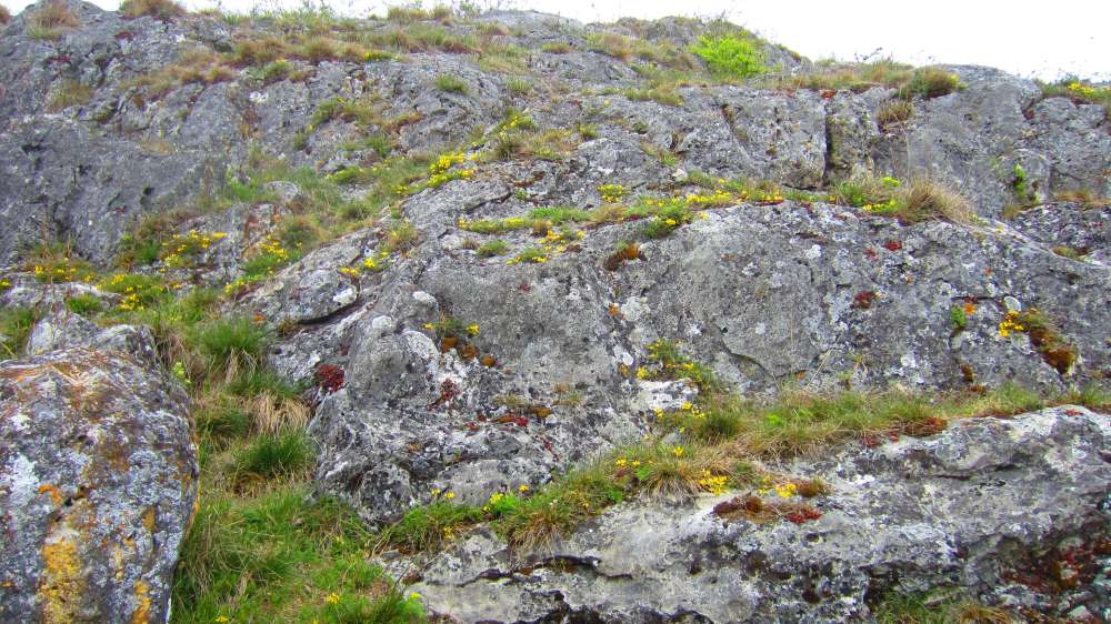 Felsen