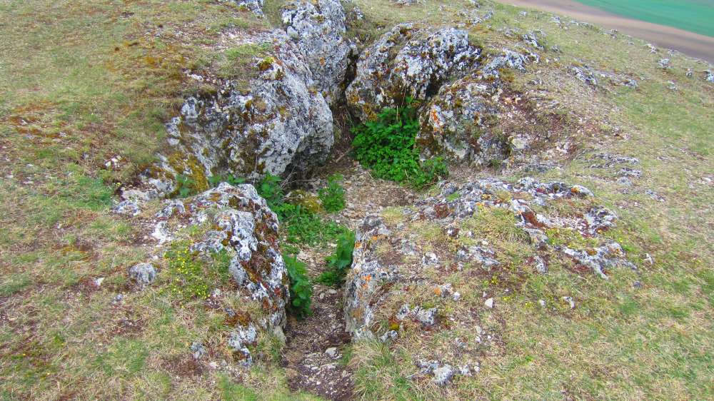Felsen