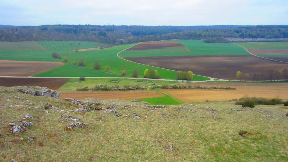Felsen