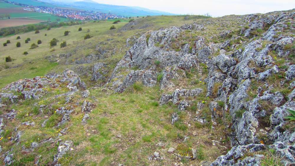 Felsen