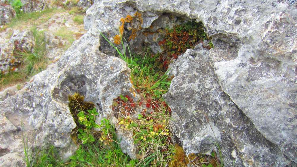 Felsen
