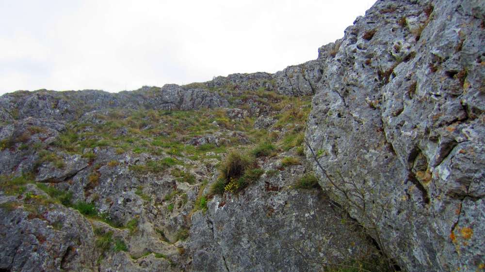 Felsen