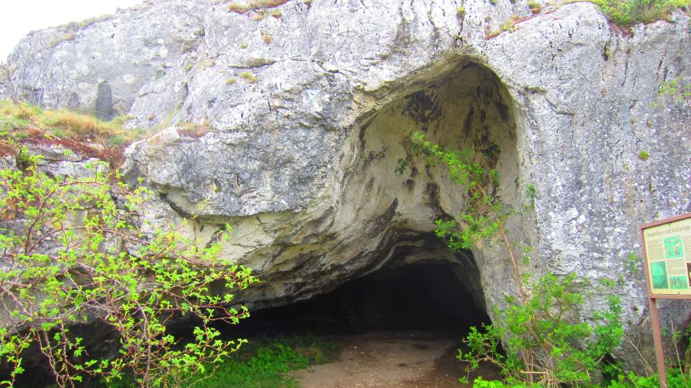 Hoehle2